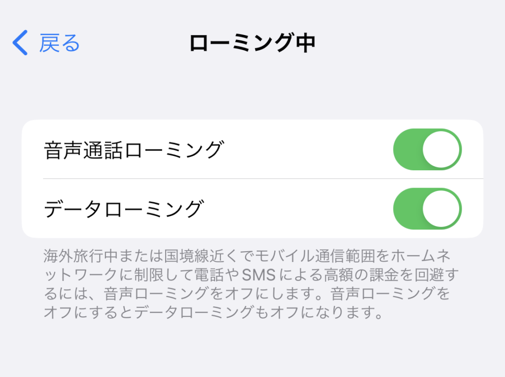 ローミングがONの状態の画面